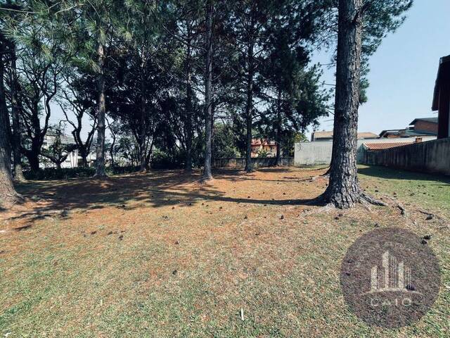 #800TE - Terreno para Venda em Santana de Parnaíba - SP - 3